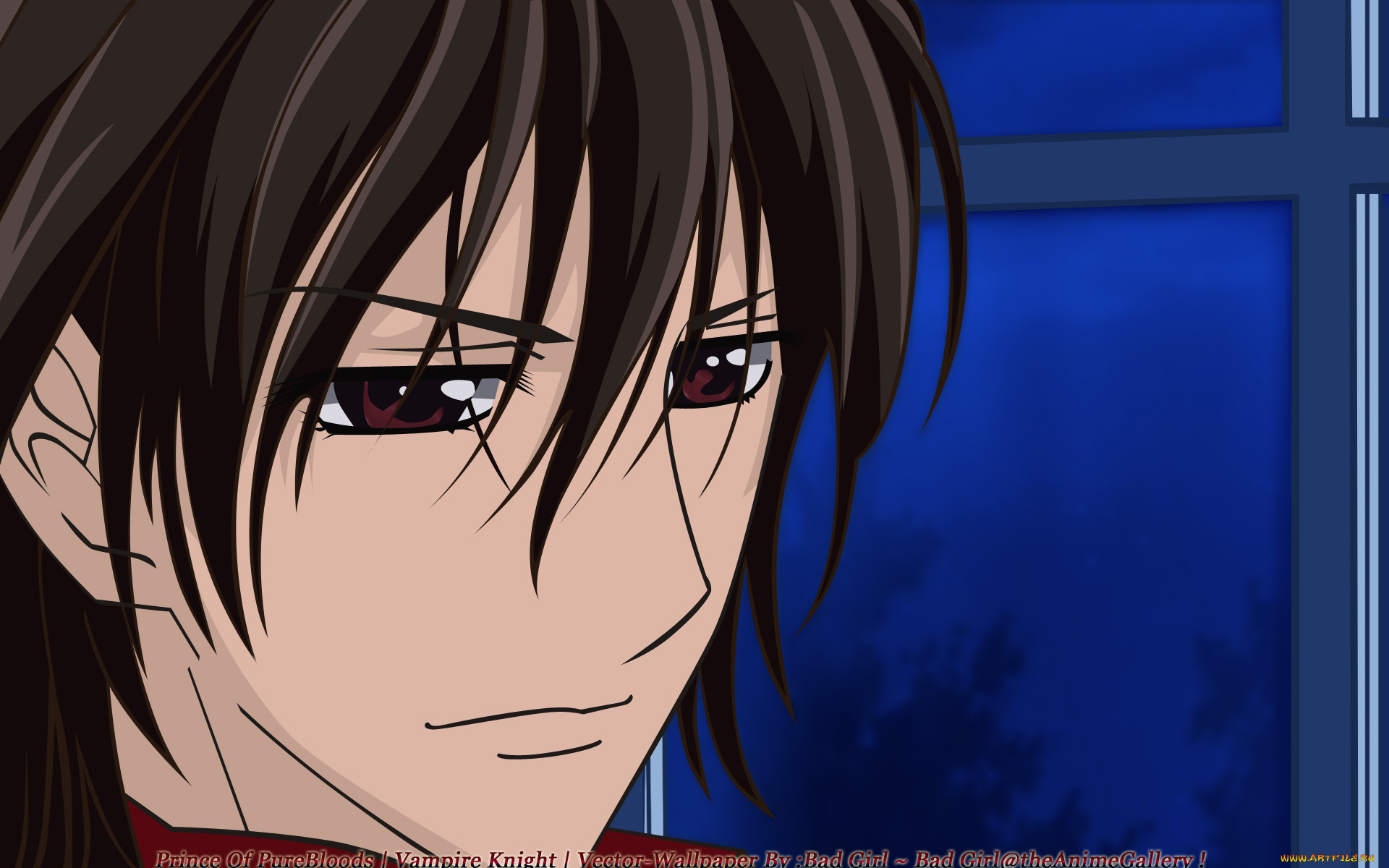 , vampire knight, vampire, knight